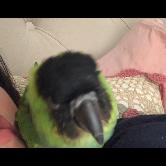 Meet your Posher, Michelle - Picture 3 of 3